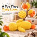 premium pert comfort